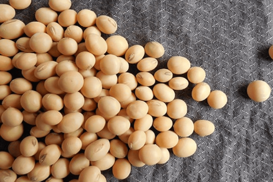 Exploring the Latest Developments in U.S. Soy