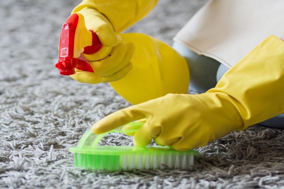 Revive Your Carpets: Professional Cleaning in Brisbane